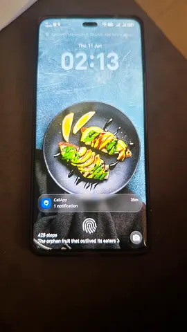 Honor 200 Pro - 512 GB - Excellent Condition