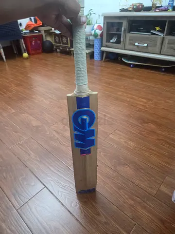 Cricket bat