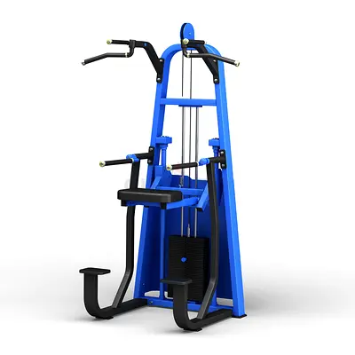 Commercial Dip And Chin Weight Assisted Machine