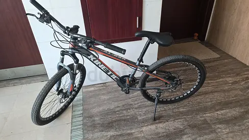 Kinetic Mountain Bike