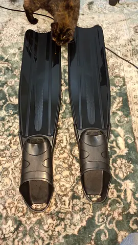 Pair of long black snorkeling/diving fins - size unknown, good condition