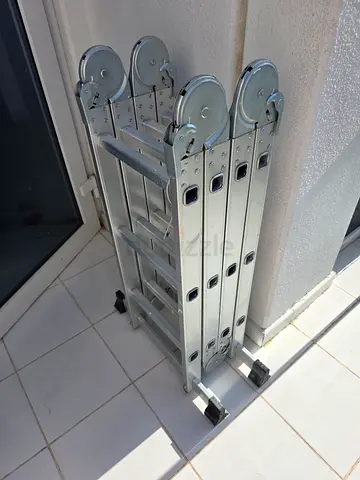 Folding ladder