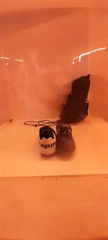 Pair of casual sneakers (used) - size unknown
