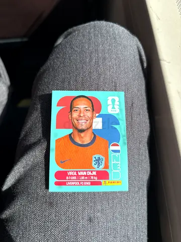 Virgil van Dijk Panini Sticker/Collectible (Netherlands)