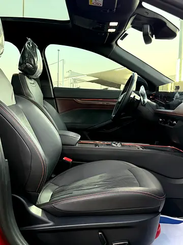 2025 FORD TAURUS 照片 16