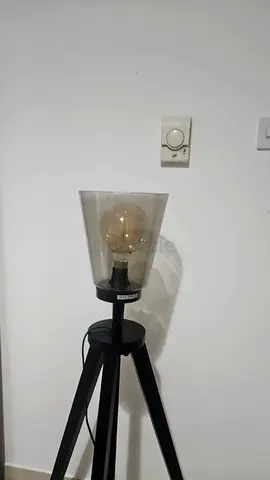 Tripod Floor Lamp with Glass Shade — Black, Minimal use