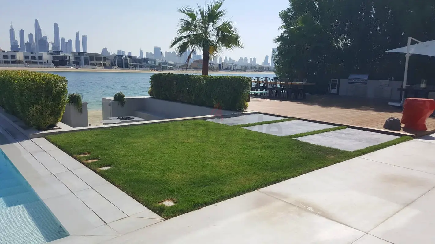 DPV_View_Image_5