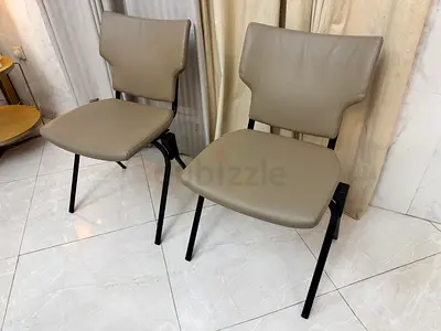 Modernfrom genuine leather Arm chairs SERIES tw