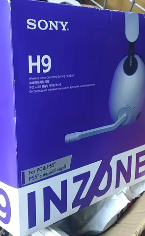 Sony H9