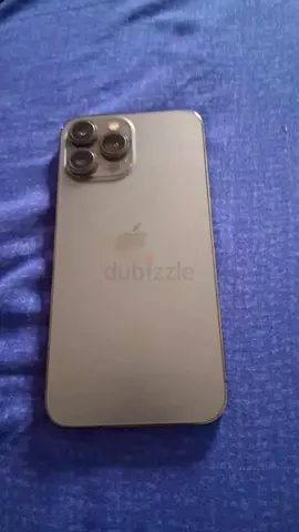 iPhone 13 po max