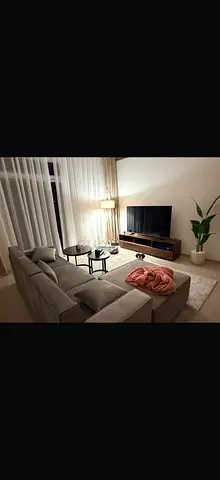 Modern L-shaped Sofa