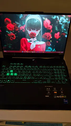 ASUS TUF F15 Gaming Laptop (RTX 4070 / 32GB RAM / 1TB SSD)