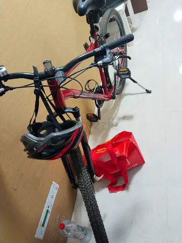 Mountain bicycle
