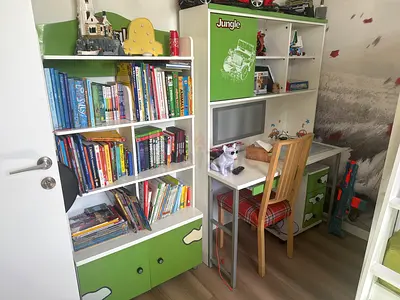 Kids Jungle Theme Study Desk and Bookshelf Set