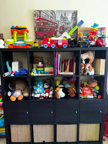 Toys Organizer/Storage - IKEA