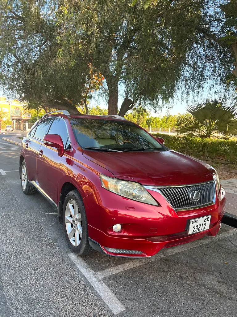 Lexus RX-Series 2010 — photo 1 of 19