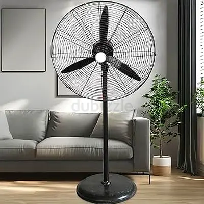 Fan