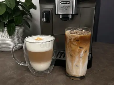 DeLonghi Magnifica Evo
