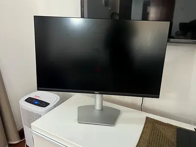 Dell flat panel monitor