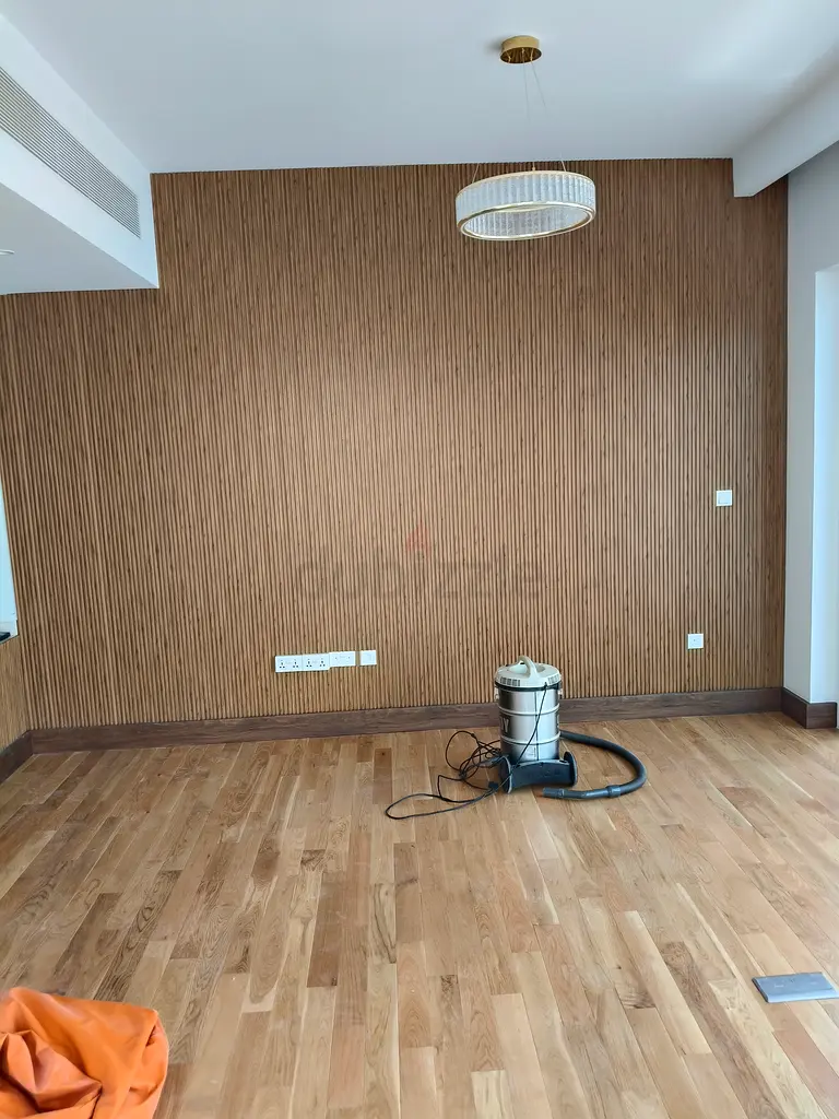 DPV_View_Image_9