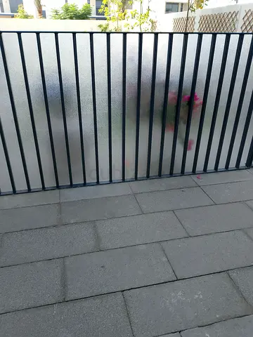 Cheapest way to fix acrylic sheet for fence ✨ Outdoor fence looking much cleaner now 👍 Professional