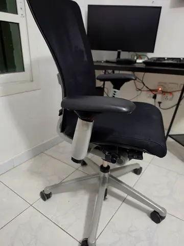 Ergonomic Mesh Office Chair with Adjustable Arms