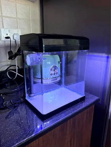Small 5L Aquarium Tank with LED Light and Filter - Almost New Condition