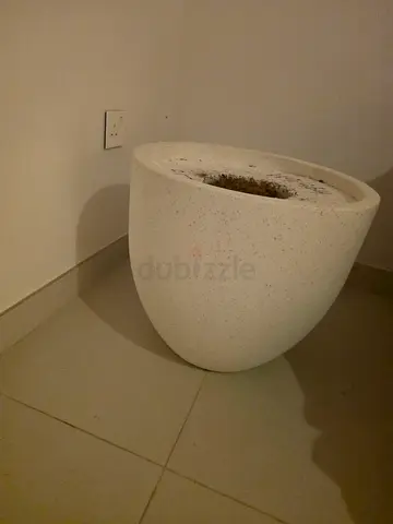 Large white decorative plant pot