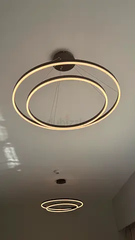 Light (Shandler)