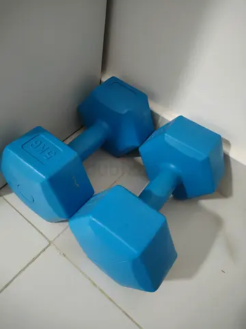 Dumbbells set