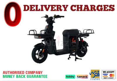 Kugoo T3 Electric Scooter