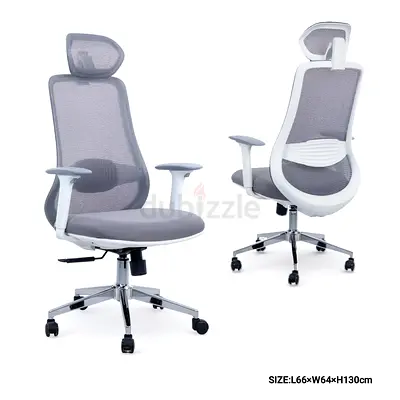 Ergonomic Mesh Office Chair with Headrest and Lumbar Support - Grey