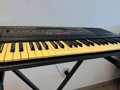 GEM PK5 Oriental Keyboard Piano with Stand