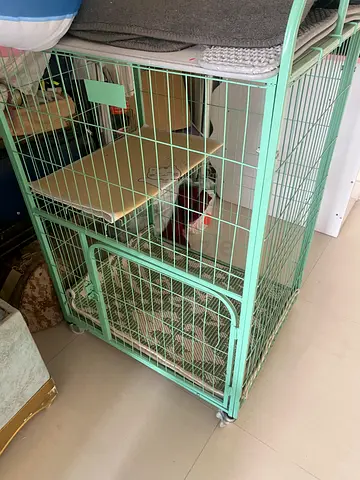 Pets cage