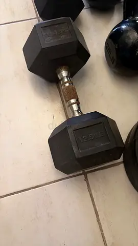 Dumbell 12,5 kg