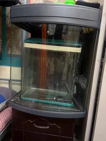 Used curved glass aquarium tank with hood and stand (medium) - good condition