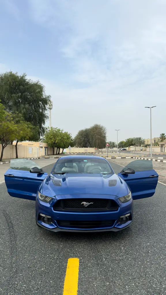 Ford Mustang 2017 — photo 1 of 8