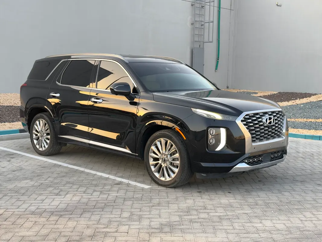 Hyundai Palisade 2020 — photo 1 of 17