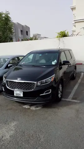 Kia sedona with driver