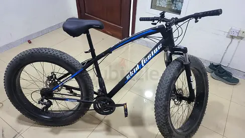 Skid Fusion 21 Speed Fat Bike