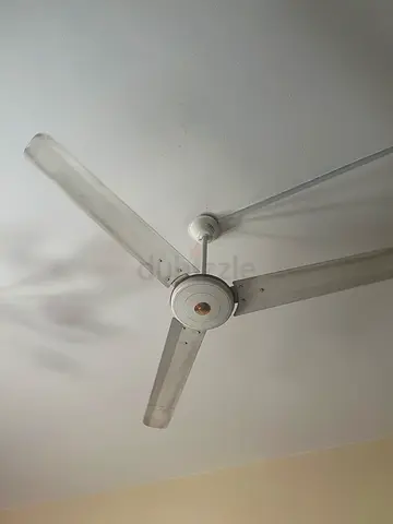 Pak Fan Ceiling