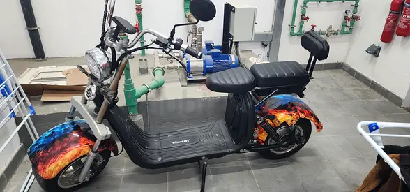 Electric Scooter with Stylish Design