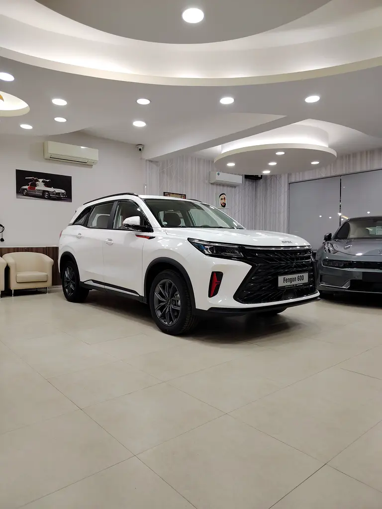 فينغون 600 2026