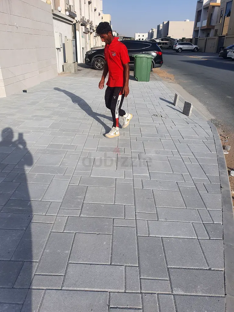 DPV_View_Image_1