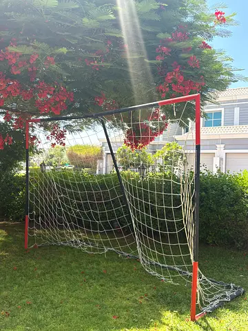 football goals