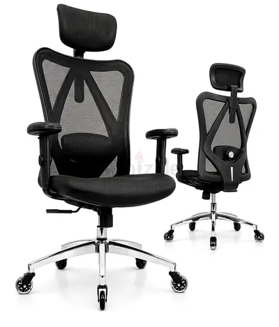 Ergonomic Mesh Office Chair with Headrest