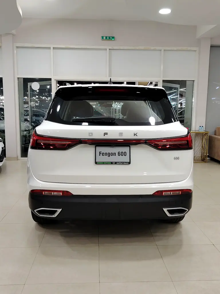 فينغون 600 2026