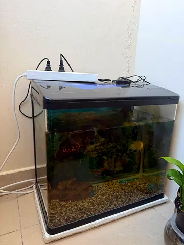 Small used aquarium tank with filter and hood