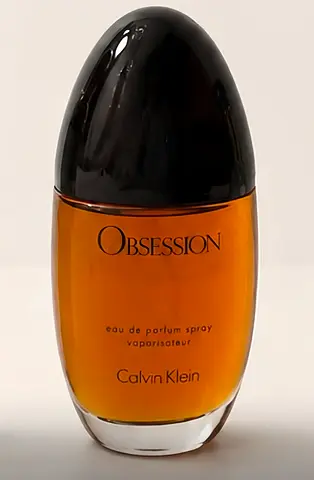 Calvin Klein Obsession Eau de Parfum (women) - 100ml bottle