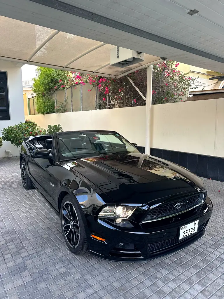 Ford Mustang 2014 — photo 1 of 5